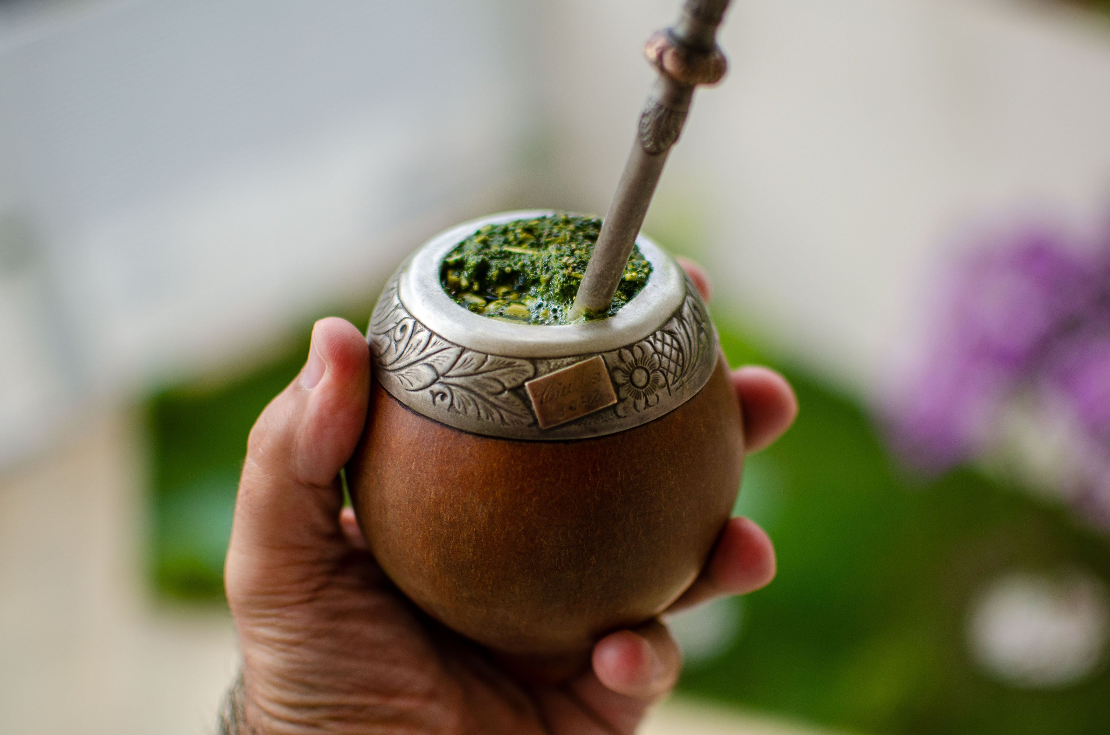 Bienfaits de la yerba maté : effets, vertus et contre-indications Image